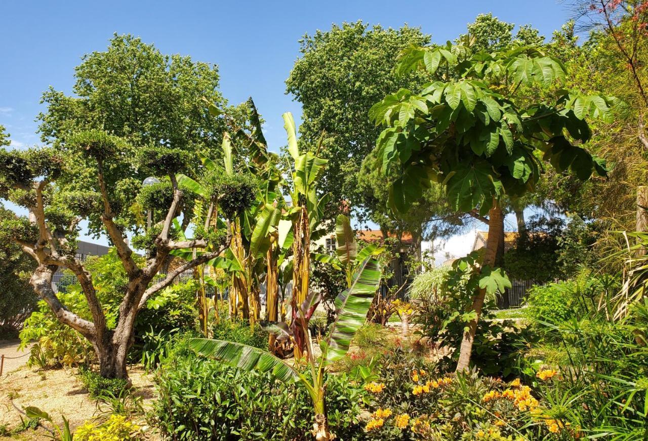 בזייה Le Grenier, Climatisation Terrasse Wi-Fi Netflix 15 Mn Coeur De Ville מראה חיצוני תמונה